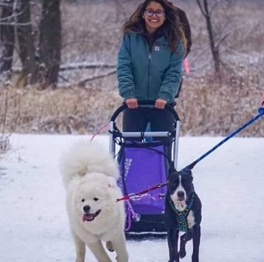 Meet your Posher, Elizabeth